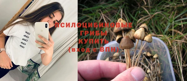 кристаллы Белокуриха