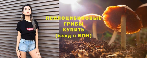 эйфоретик Балахна