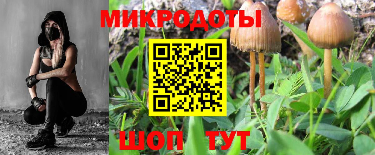 Гудермес  наркотики  Вход с VPN  Галлюциногенные грибы мицелий 