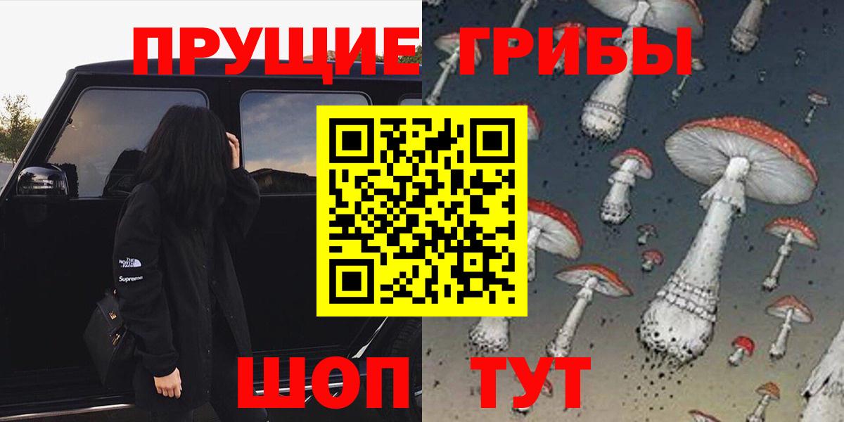 Галлюциногенные грибы Psilocybe Гудермес